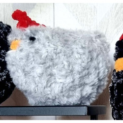 Coquette la poulette grise